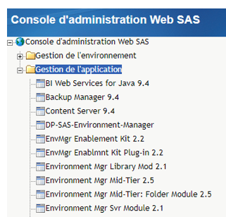 sas-web-gestion-de-l-application-2