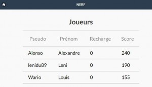 Exemple du tableau des scores NERF