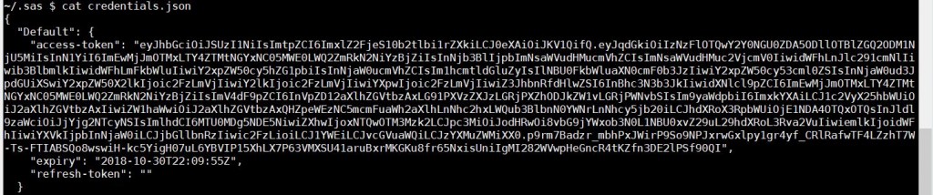 sas-adm-jeton-token-credentials-json