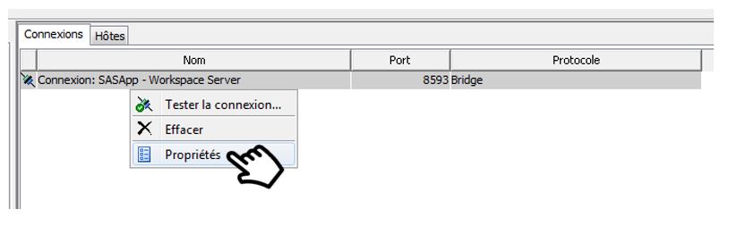 sas-ldap-configuration-workspace-server-proprietes