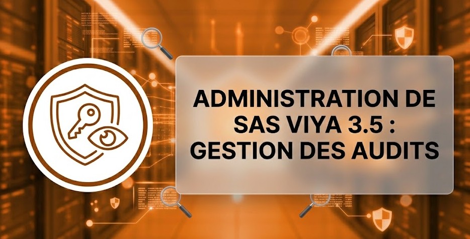 Illustration : Administration de SAS Viya 3.5 : Gestion des audits