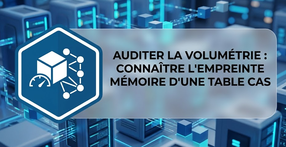 Auditer la volumétrie : connaître l'empreinte mémoire d'une table CAS