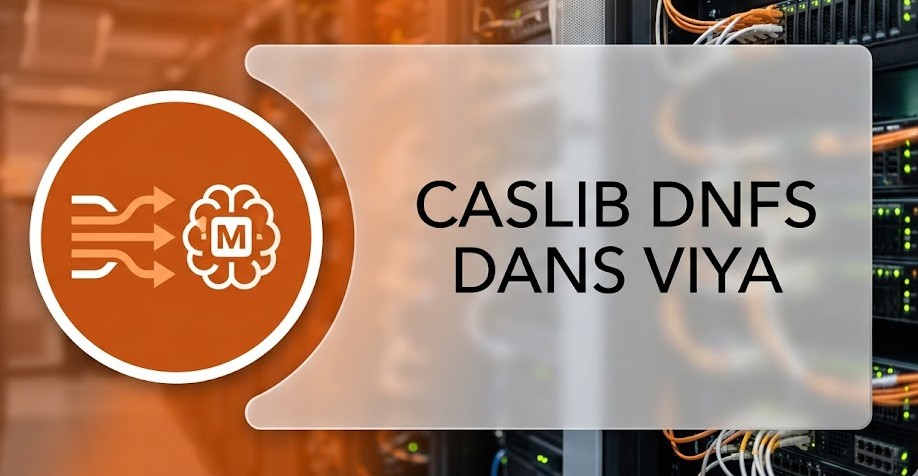 Illustration : Caslib DNFS dans VIYA