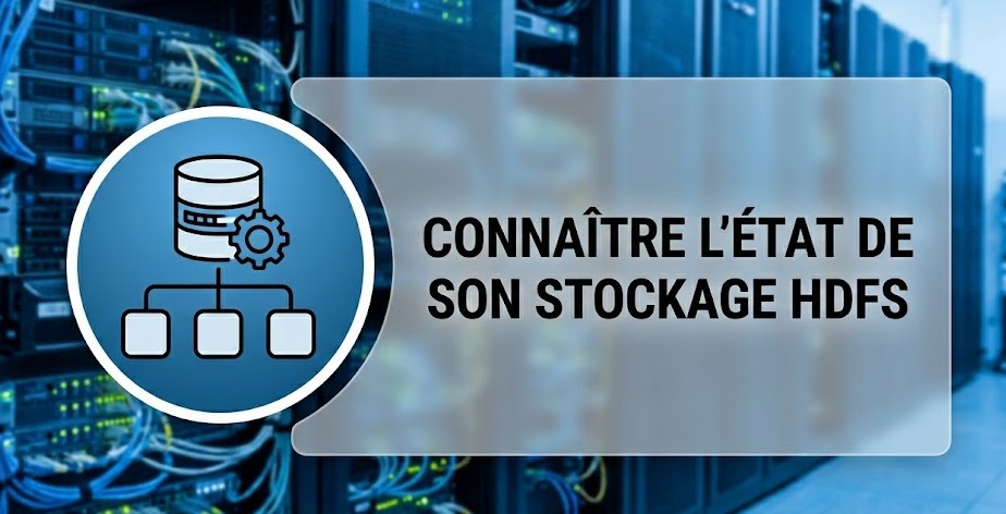 Illustration : Connaitre l'état de son stockage HDFS