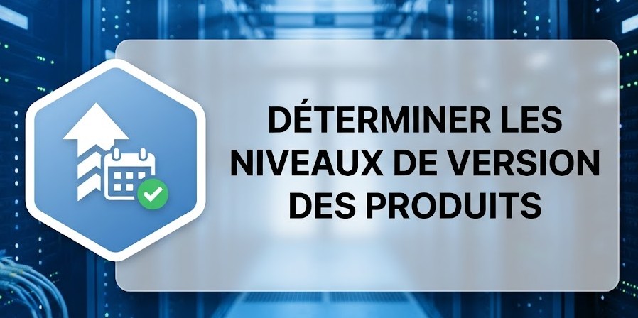 Illustration : Déterminer les niveaux de version des produits