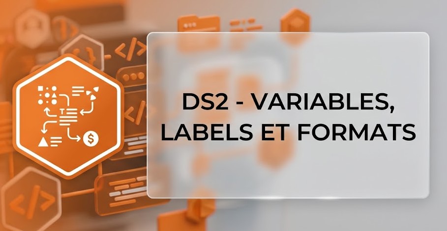 Illustration : DS2 - Variables, labels et formats