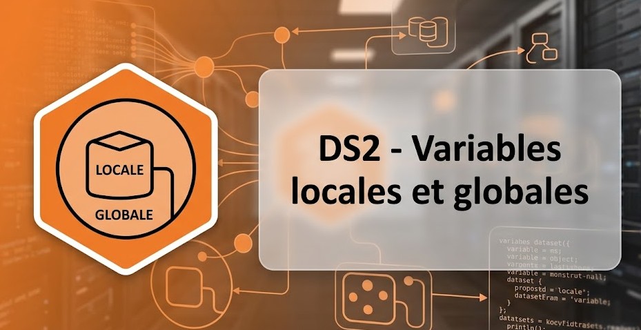 Illustration : DS2 - Variables locales et globales