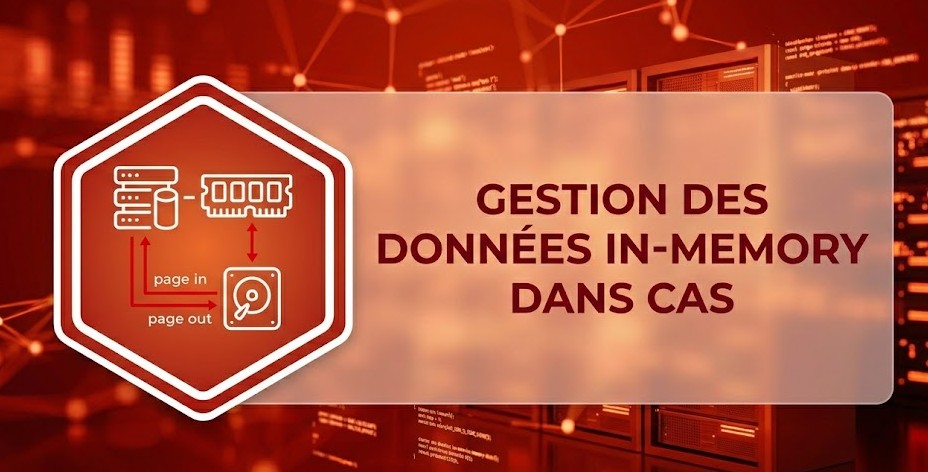Illustration : Gestion des données in-memory dans CAS
