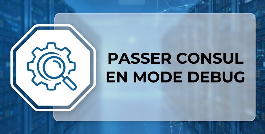 Passer consul en mode DEBUG