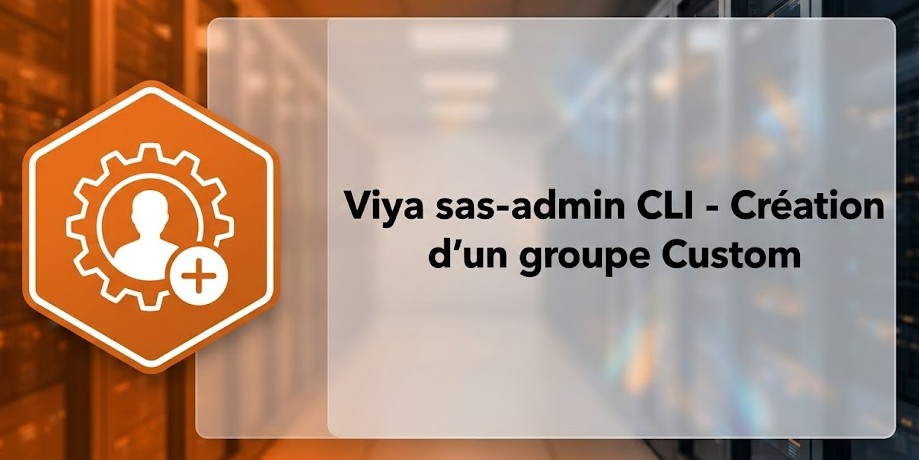 Illustration : Viya sas-admin CLI - Création d'un groupe Custom