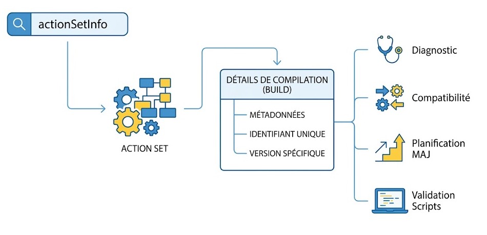 Schéma : Quel type d'informations détaillées l'actionSetInfo peut-elle me fournir pour mes analyses ?