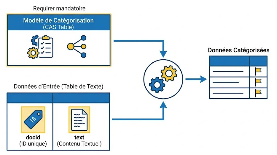 Schéma : Quels sont les paramètres cruciaux pour l'application d'un modèle de catégorisation ?